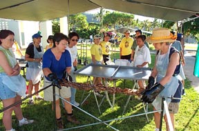 2003 Fall PTA Chicken Sale