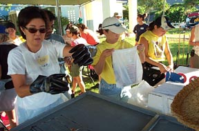 putting the chicken in bags