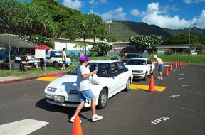 taking chickens out to the cars